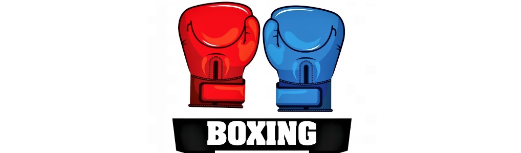 best color for boxing gloves