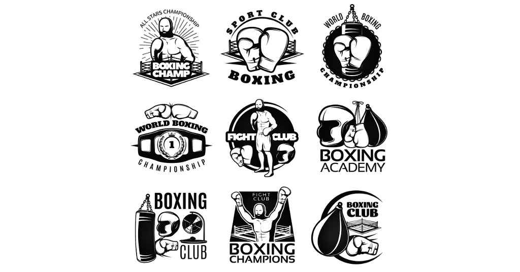 different boxing sanctioning bodies